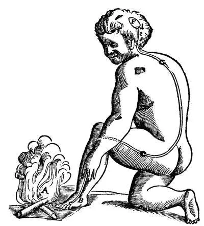 your brain on pain physical therapy