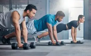 wellness + longevity programs