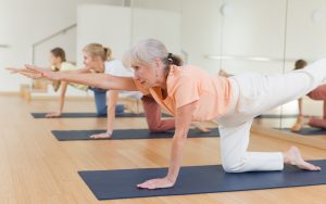 wellness + longevity programs
